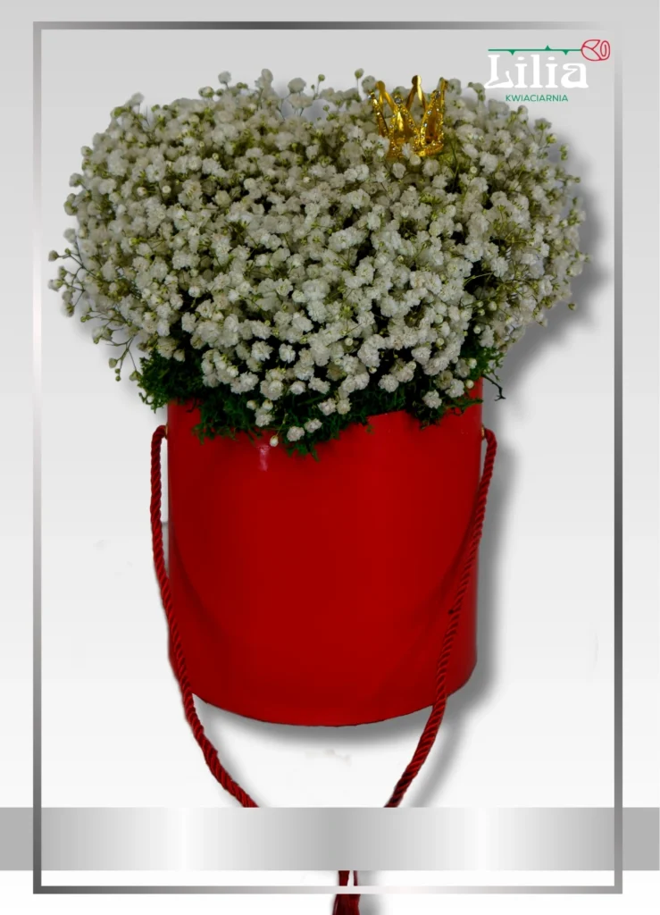 Box nr.7_wynik